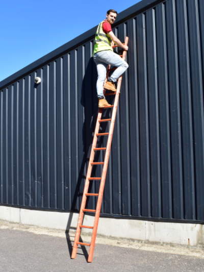 Scaffolding Pole / Single Section Ladders 