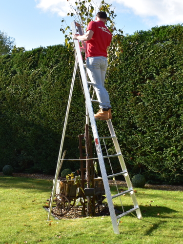 Home Master Fixed Tripod Gardening Ladder