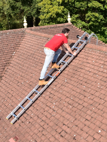 BPS Single Section Professional Roof Ladder